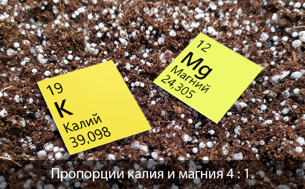 Избыток Са и Mg в почве Избыточное содержание Са и Mg в почве