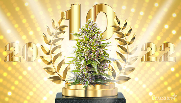 Лучшие сорта 2022 года