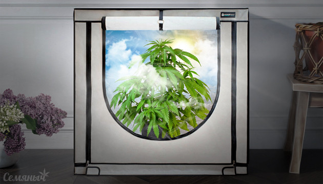 Микроклимат внутри гроурума