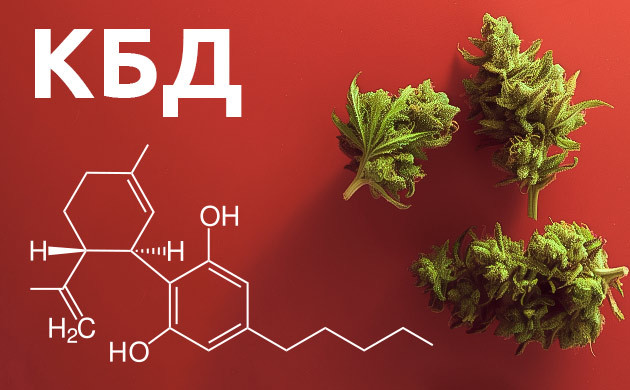 Как КБД воздействует на человека и какими свойствами обладает Что такое КБД