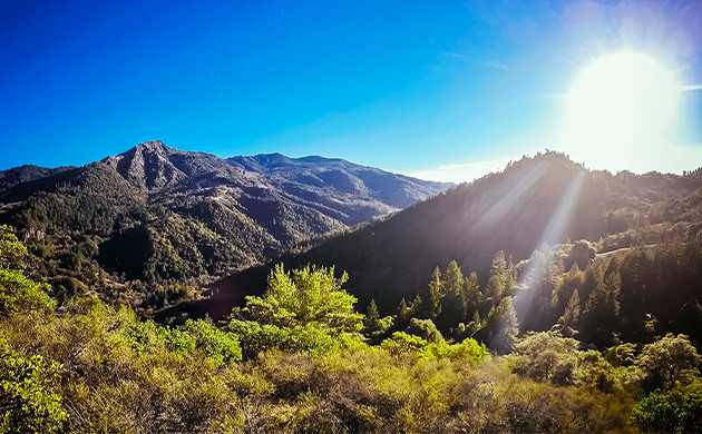 День 2. Результат – 600 грамм