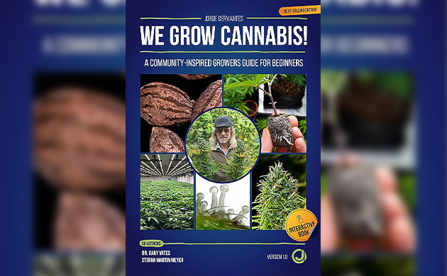 Бесплатная цифровая книга Хорхе Сервантеса Сотрудничество с лучшими экспертами