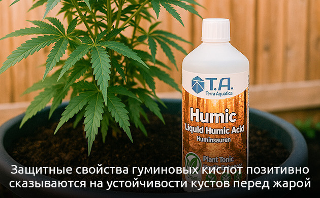 Гуминовые кислоты для защиты каннабиса