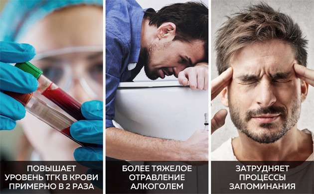 Последствия совмещения марихуаны и алкоголя Совмещение марихуаны и алкоголя