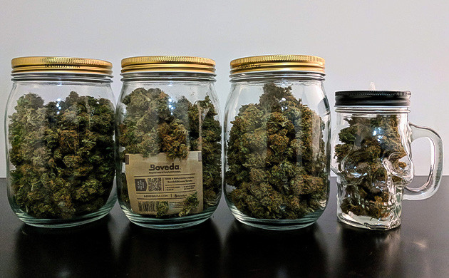 Сбор урожая Johnny Cage Auto