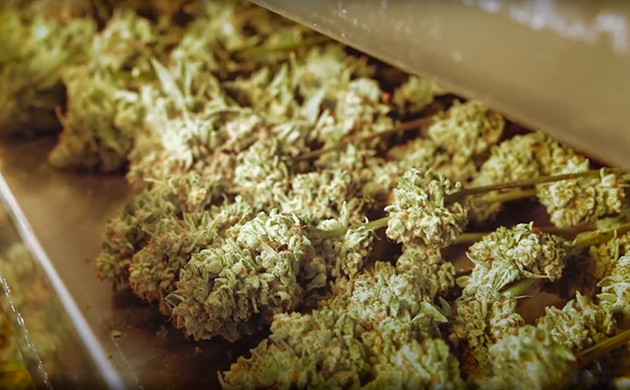 Velos: сушка и экстракция Velos Essence: эфирные масла