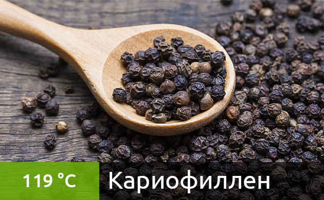 Оптимальная температура для вейпинга кариофиллена (119 °С) Рекомендуемая температура нагрева для кариофиллена в вейпе (119 °С)