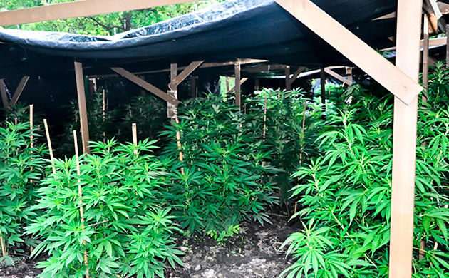 Установить затеняющую сетку Установить затеняющую сетку для конопли