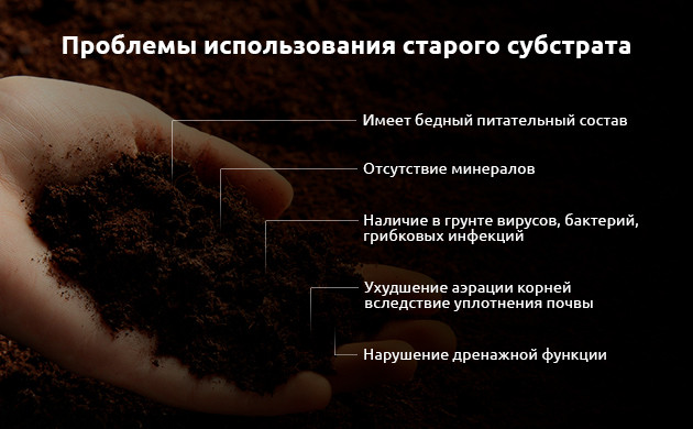 Проблемы, возникающие при повторном использовании конопляной почвы