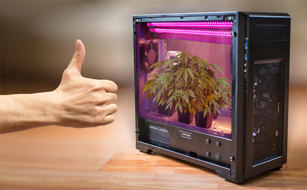 Небольшой гроубокс в системном блоке Гроубокс из системного блока