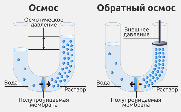 Принцип работы обратного осмоса Использование обратного осмоса в гидропонике