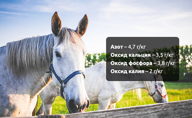 Состав конского навоза