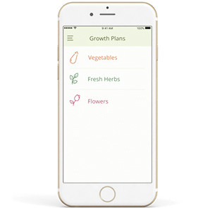 Функционал приложения Seedo