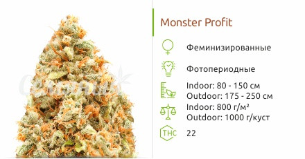 Monster Profit от Heavyweight Seeds
