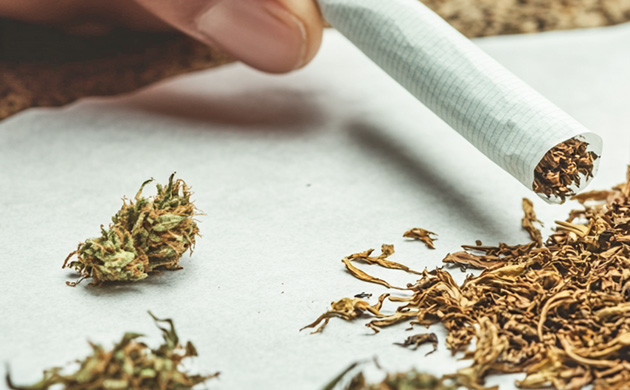 Канцерогены в табаке и конопле Табак и конопля: канцерогенные риски