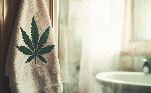 Как удержать запах конопли в ванной?