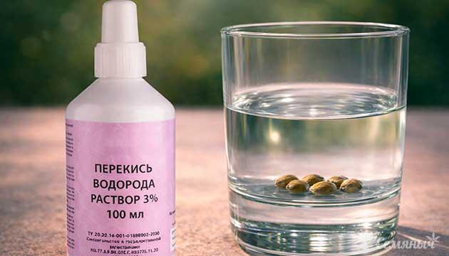 Перекись водорода и раннее развитие ростков каннабиса Проращивание семян каннабиса с использованием перекиси водорода