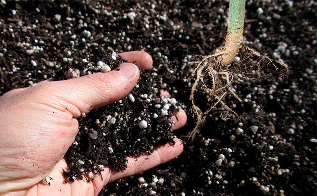 дополнительное количество субстрата Дополнительное количество субстрата