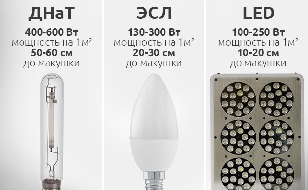 Лампы для выращивания автоцветов