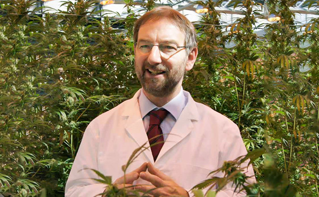 Сканкмэн на фоне плантации