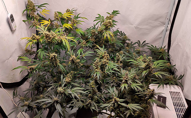 Завершение жизненного цикла