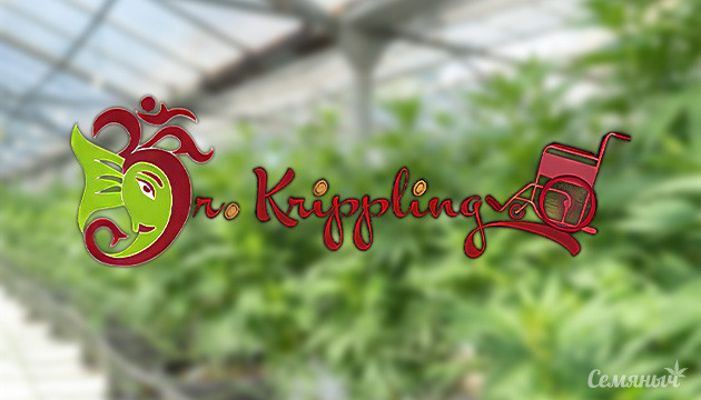 Dr Krippling Seeds