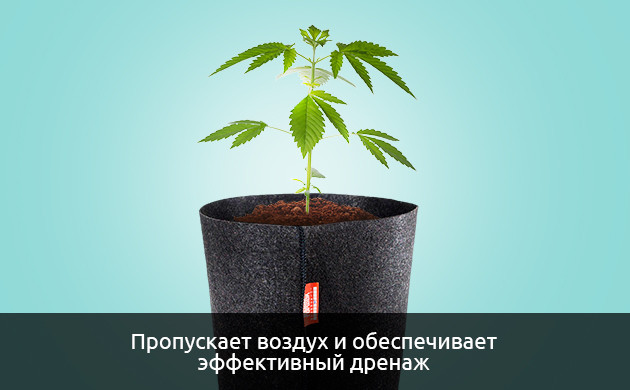 Выращивание на улице в индивидуальных контейнерах Выращивание на улице в индивидуальных контейнерах