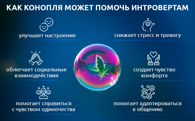 Эмоциональная поддержка интровертов каннабисом