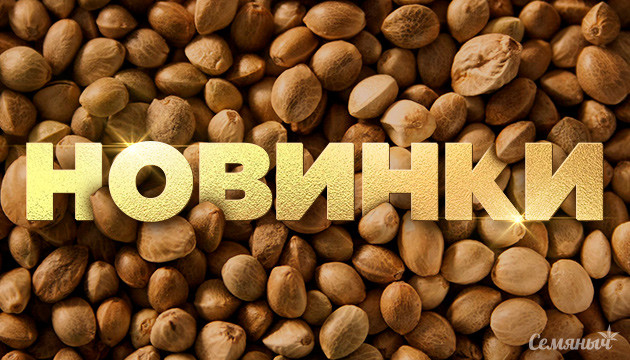 Новинки от Семяныча