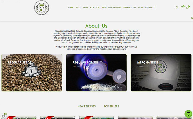 Селекция на основе открытого от 7 East Genetics Разработка сортов конопли от 7 East Genetics