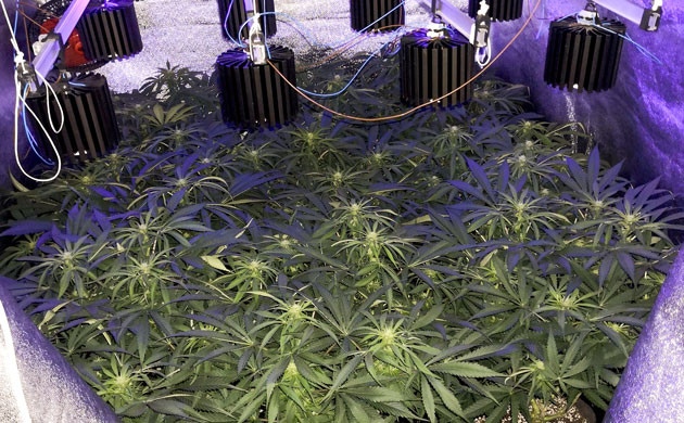 Добавление УФ света к освещению