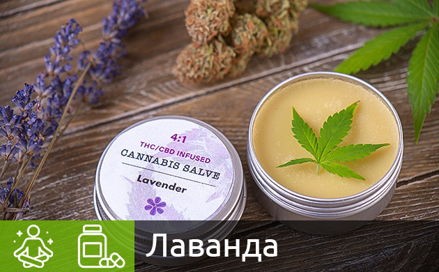 Лаванда и конопля Цветок лаванды