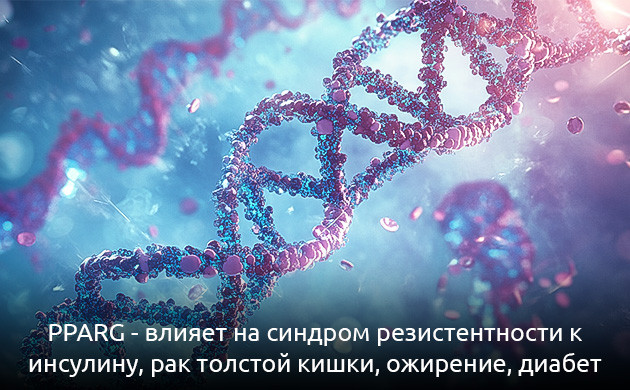 PPARG: будущее медицины