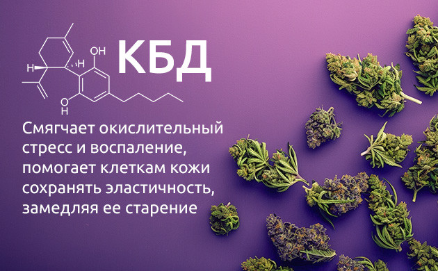 Антиоксидантные свойства КБД КБД против старения кожи