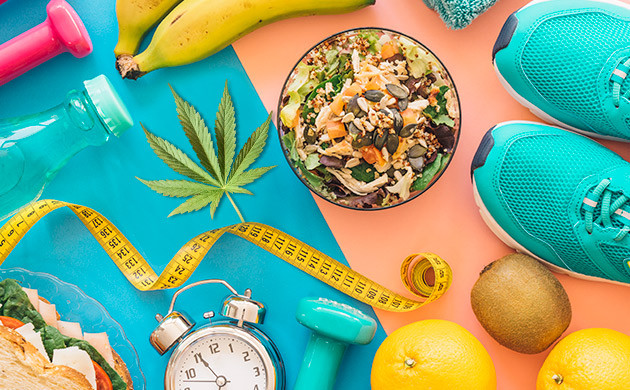 Каннабис и здоровье человека Каннабиноиды и общее состояние здоровья