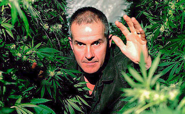 Конопля: вредная трава? 2009 год