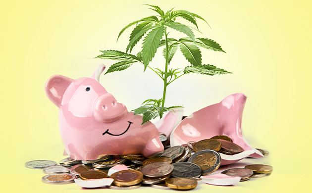 Малобюджетный гровЭкономия бюджета