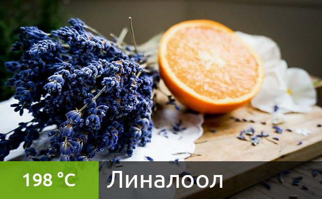 Рекомендуемая температура нагрева для линалоола в вейпе (198 °C) Оптимальная температура для вейпинга линалоола (198 °C)