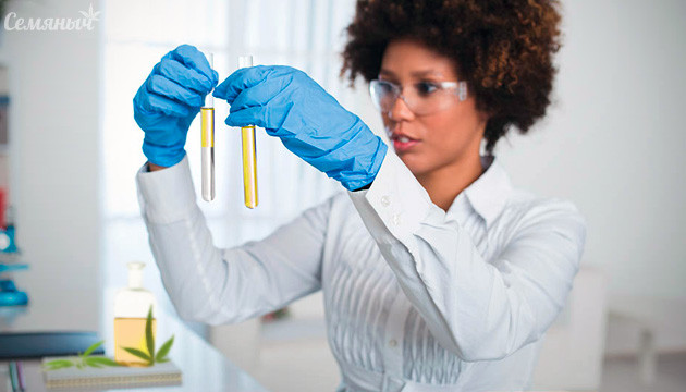 Нанотехнологии на рынке каннабиса