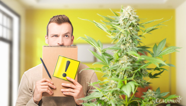 Выводы для новичков