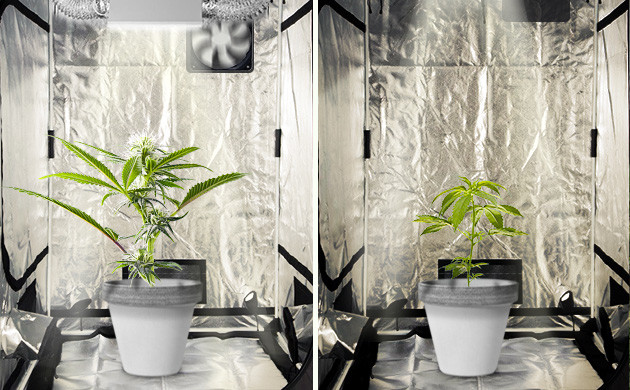 Затраты на обустройство двух гроубоксов Экономия на содержании бокса для вегетации