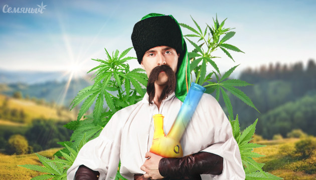 Легализация конопли в Украине Каннабис в Украине