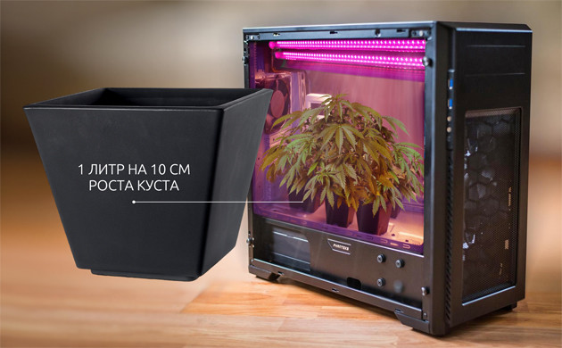 Какой горшок подойдет для выращивания конопли в микробоксе Горшок для конопли