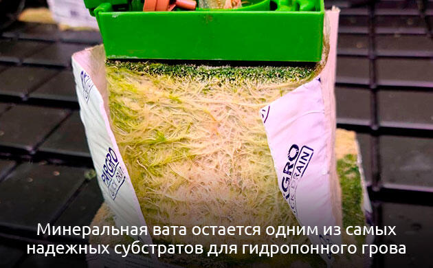 Минеральная вата как субстрат для гидропонного выращивания конопли