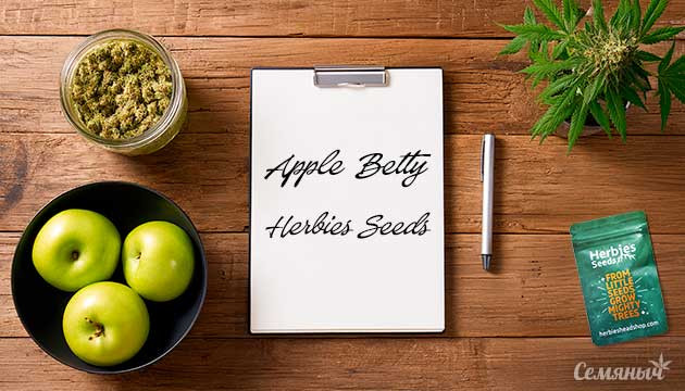 Выращивание сорта конопли Apple Betty от Herbies Seeds Гроурепорт сорта Apple Betty от Herbies Seeds