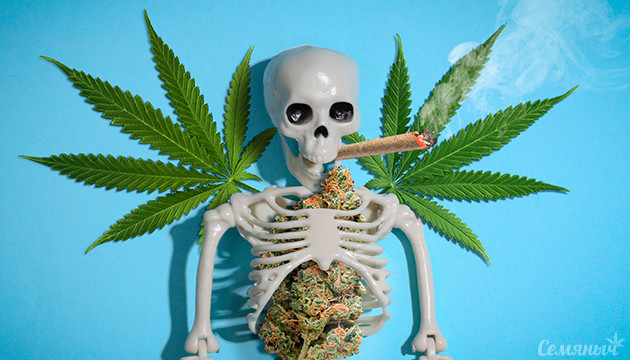 Вред марихуаны
