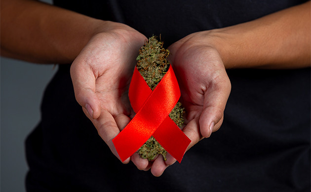 Каннабис и СПИД