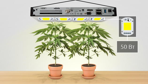 LED лампа для выращивания марихуаны на COB матрице Ming&Ben COB чипы на 50 Вт Ming&Ben