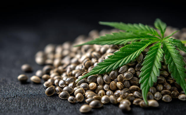 Корм для животных с зёрнами конопли Корм для животных