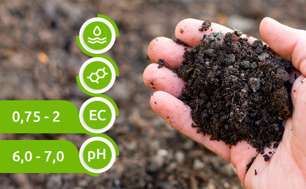 Оптимальный уровень pH почвы для конопли